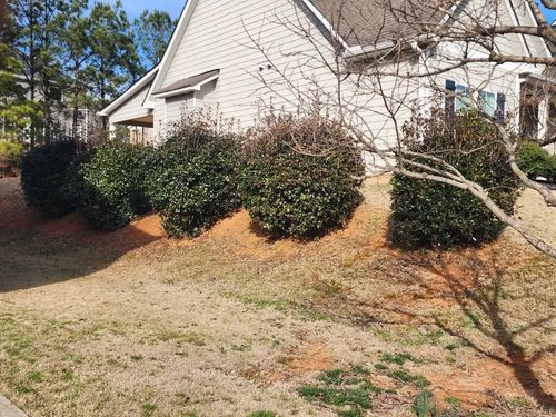 All Photos for Reg's Lawn Care Services in LaGrange, GA
