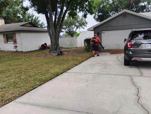  for The 1 Man Show Lawn Service in Lakeland Highlands, FL