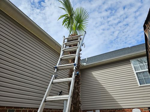  for Upstate Lawncare Maintenance LLC in Easley, SC