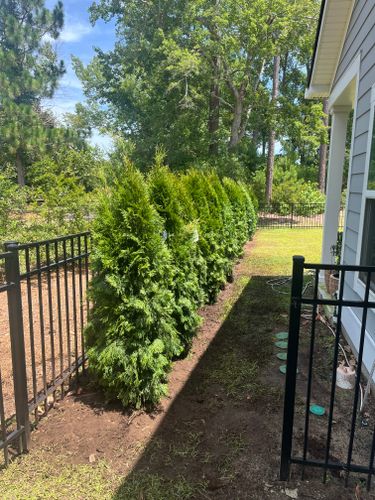 All Photos for New Creation Landscaping in Myrtle Beach, SC