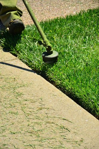  for Lane Landscaping in Beaumont, TX