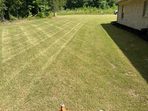 Lawn for Pinnacle Property Maintenance LLC in McDonough, GA