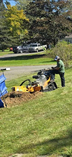 Stump Removal for Jills Stump Grinding and Firewood in Shelton, CT