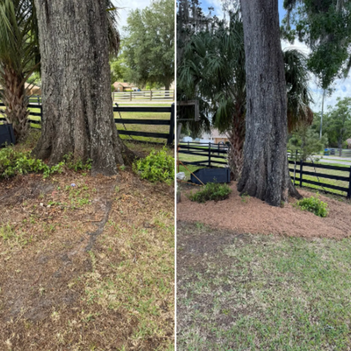  for Greene Acres Stump Grinding in Plant City, FL