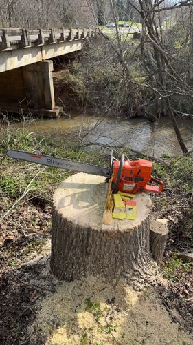 All Photos for Ramirez Tree Care in Elkin, NC