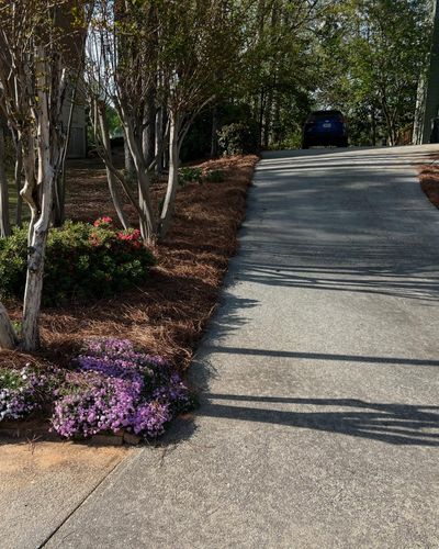 Lawn Maintenance for Amerigreen Lawn & Landscape in Atlanta, GA