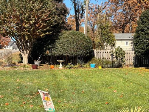 Other Lawn Maintenance for America's Top Pick Lawn & Landscaping in Gastonia, NC