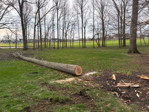 Land Clearing for Murray Excavation & Site services in Sunbury, OH