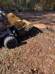  for Reliable Stump Grinding in Frankston, TX
