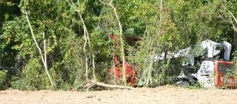 Underbrush/Property Clearing for Hipp's Land Management in Tryon, NC