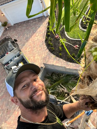 Palm Trimming for Lawn Caring Guys in Cape Coral, FL