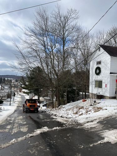  for J&E Tree & Excavation Services in Sandy, PA