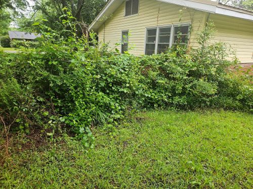  for Yard Recovery Services in Byron, GA