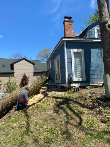 Tree Removal for Ramirez Tree Care in Pontiac, Michigan