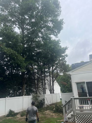  for Ricky's Tree Service & Property Care in Orange, VA