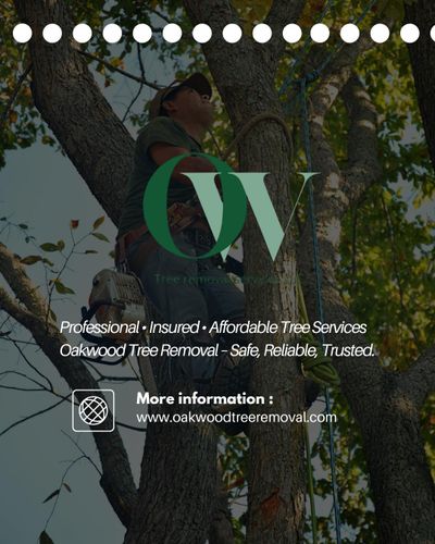  for Oakwood Tree Removal LLC in Oak Creek,  WI