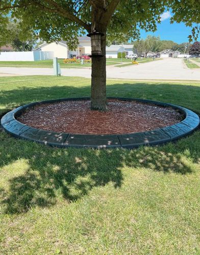 Tree & Shrub Care for Boots Borders in Westville, IN
