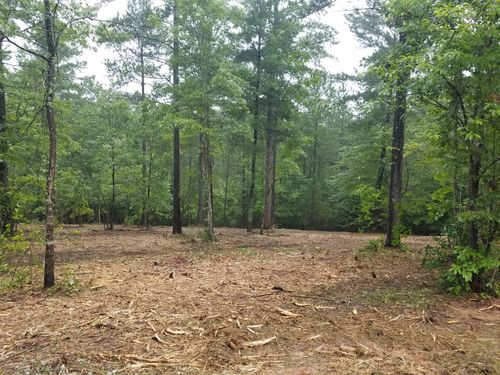 Site Preparation for Iron Pine Land & Grading in Harris County,  GA