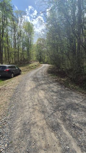  for Liberty Landscapes and Services in Ringgold, GA