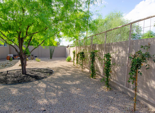 Planting for Citiscapes, LLC in Phoenix, AZ