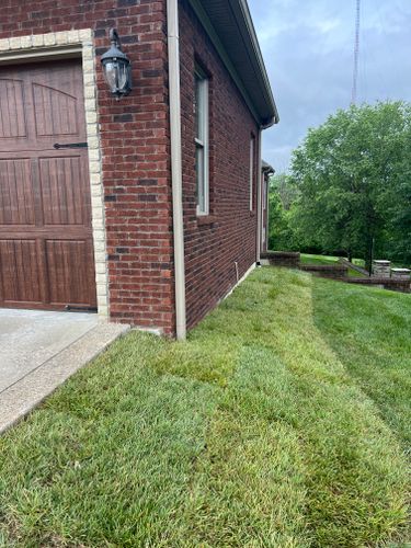  for Full Service Landscaping in Louisville, KY