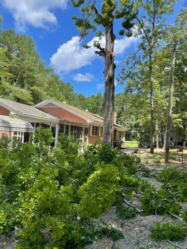 Tree Removal for Rosales Landscaping LLC in Lake Gaston, North Carolina