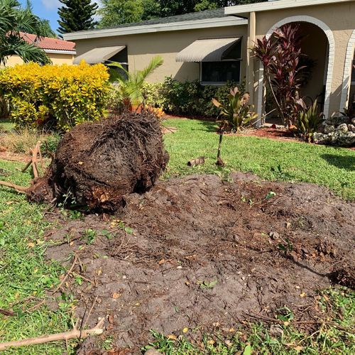 Stump Grinding for Green Touch Property Maintenance in Broward County, FL