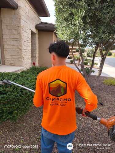  for Camacho AZ Landscaping in Peoria, AZ