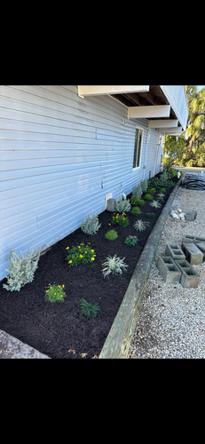 Landscape Design for MX Trees LLC in Englewood, FL
