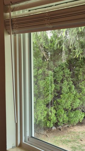 All Photos for Vivid Windows in Centerville, UT