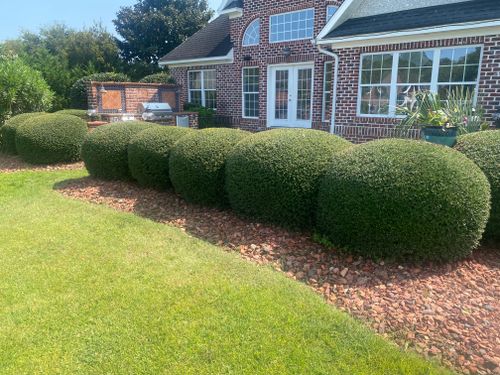 All Photos for New Creation Landscaping in Myrtle Beach, SC