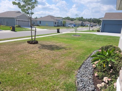 All Photos for A&D Lawn Care of Lakeland in Lakeland, FL