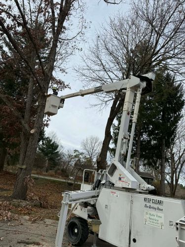  for D Hale Tree Service in Ann Arbor, MI