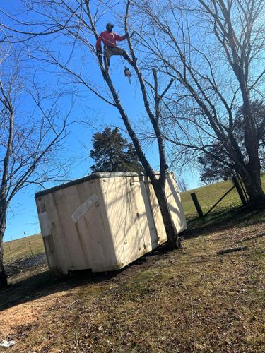 Tree Removal for Atwood’s Tree Care in Liberty,  KY