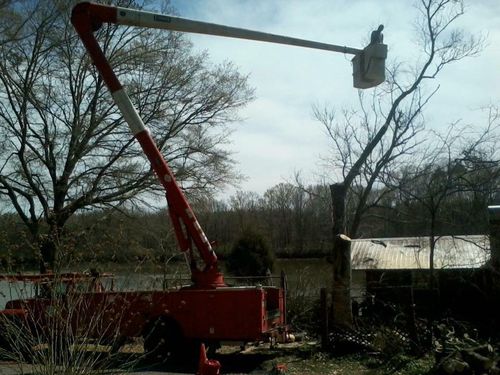  for Jeff’s Tree Service in Southside, AL