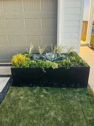  for Chavira Landscape & Irrigation in Austin, TX