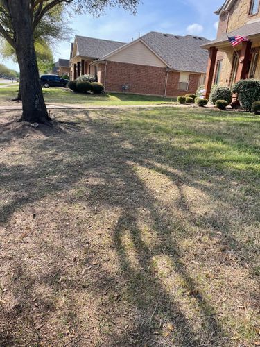  for E&D Landscape Services in Mansfield, TX