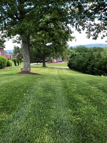 Shrub Trimming for ULTIMATE LANDSCAPING in Wilkes County, NC