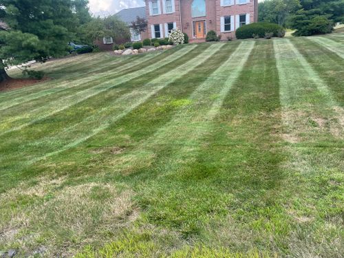 Shrub Trimming for Youngstown Landscape and Design in Canfield, OH