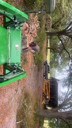 All Photos for All Seasons Tree and Land Works in Trenton, FL