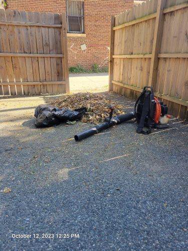 Fall and Spring Clean Up for Papayards in Arlington, VA