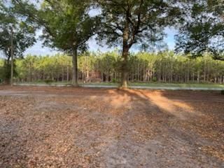 All Photos for All Seasons Tree and Land Works in Trenton, FL