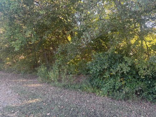  for Circle W Services in Canton, TX