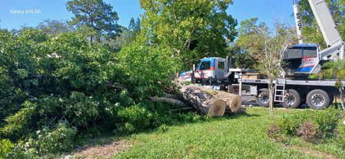 All Photos for A Southern Style Tree Service in Orlando, FL