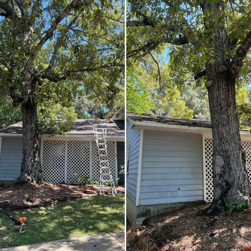  for Southern Venom Services in Daphne, AL