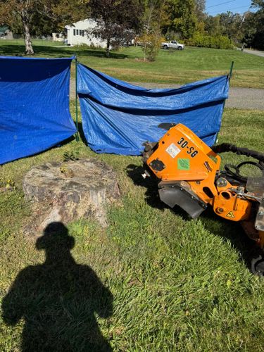 Stump Removal for Jills Stump Grinding and Firewood in Shelton, CT