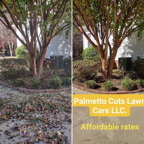  for Palmetto Cuts Lawn Care LLC in Simpsonville, SC