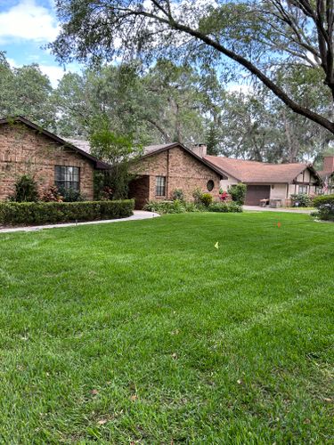 Lawn Care for Estrada All Pro Lawn Service in Auburndale, Florida