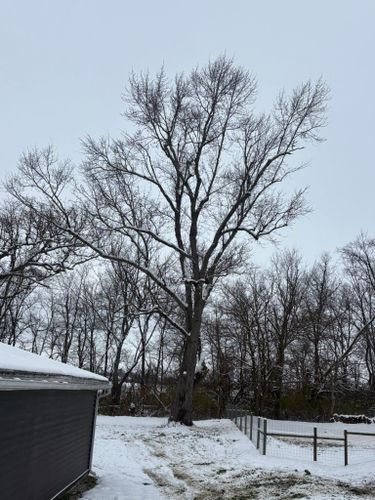  for Dig-It Tree Company in Mason, OH