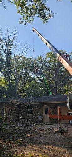 Tree Removal for Olson Tree Service, Inc in Rockford, IL